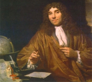 Portrait of Leeuwenhoek